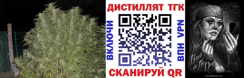 Купить где  Кораблино  ТГК жижа 